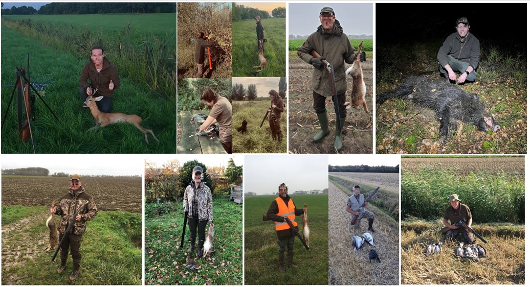 Compilatie
